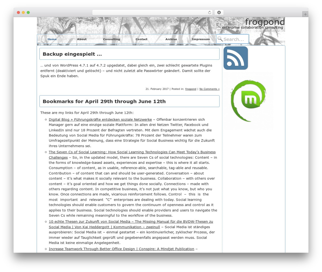 Theme WordPress Constructor - frogpond.de Theme WordPress Constructor - frogpond.de
