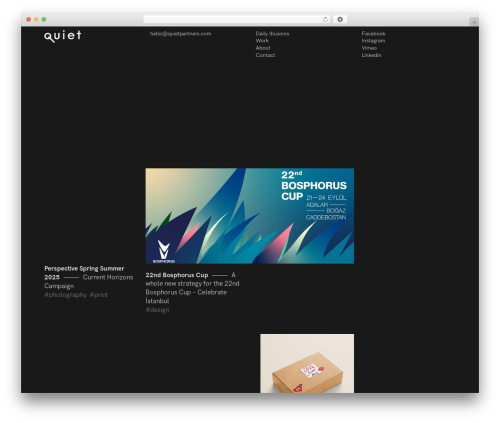 ThemeRain Core (themerain-core) free WordPress plugin - quietpartners.com