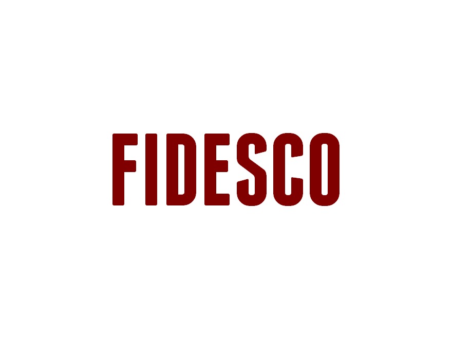 WordPress theme Themefidesco by 123DEV