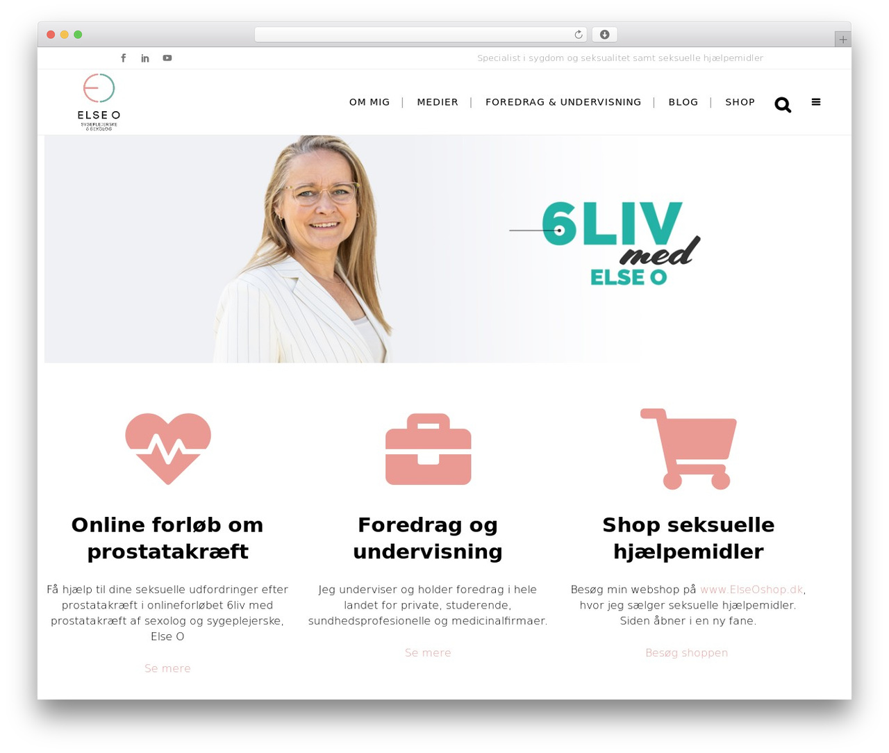 Bridge theme WordPress - elseo.dk Bridge theme WordPress - elseo.dk