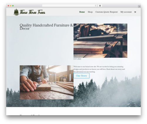Divi theme WordPress - thesethreetrees.com