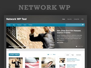 NetworkWP WordPress website theme by Simon North, Simnor Web Design