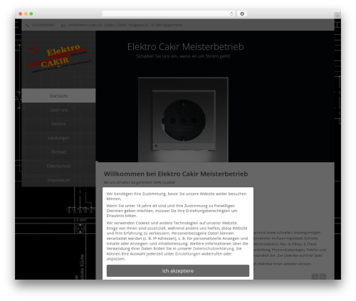 Vertikal theme WordPress - elektro-cakir.de