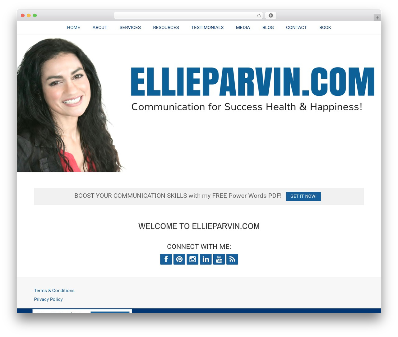 WordPress theme Birch - ellieparvin.com WordPress theme Birch - ellieparvin.com