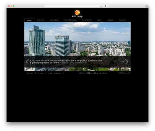 WordPress theme EFS theme Live - efsgroup.eu