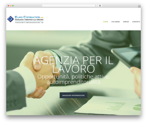 WordPress website theme cherry - euroconsultingnet.it