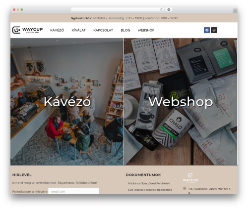 Woocommerce full barion pixel master WordPress plugin - waycup.hu