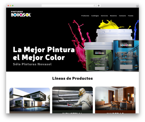 Buddhathemes core features WordPress plugin - novasol.mx