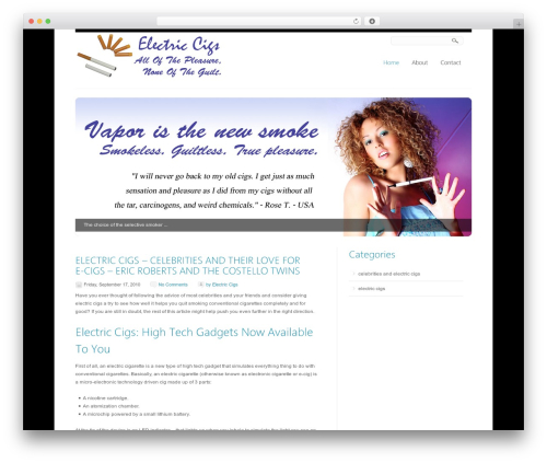 Seo pressor WordPress plugin - electriccigs.net