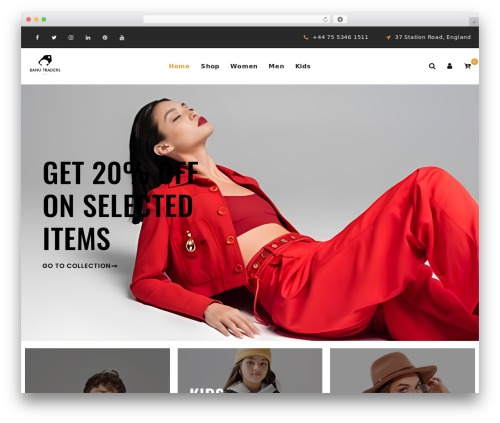 Theme WordPress Bizz Ecommerce - banutradersltd.co.uk
