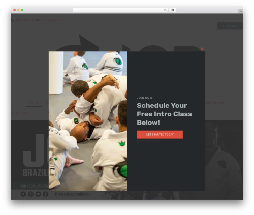 Timeline Event History (timeline-event-history) free WordPress plugin - jacaremartialarts.com Timeline Event History (timeline-event-history) free WordPress plugin - jacaremartialarts.com