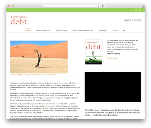 IntelliWidget Per Page Custom Menus and Dynamic Content (intelliwidget-per-page-featured-posts-and-menus) free WordPress plugin - environmentaldebt.net
