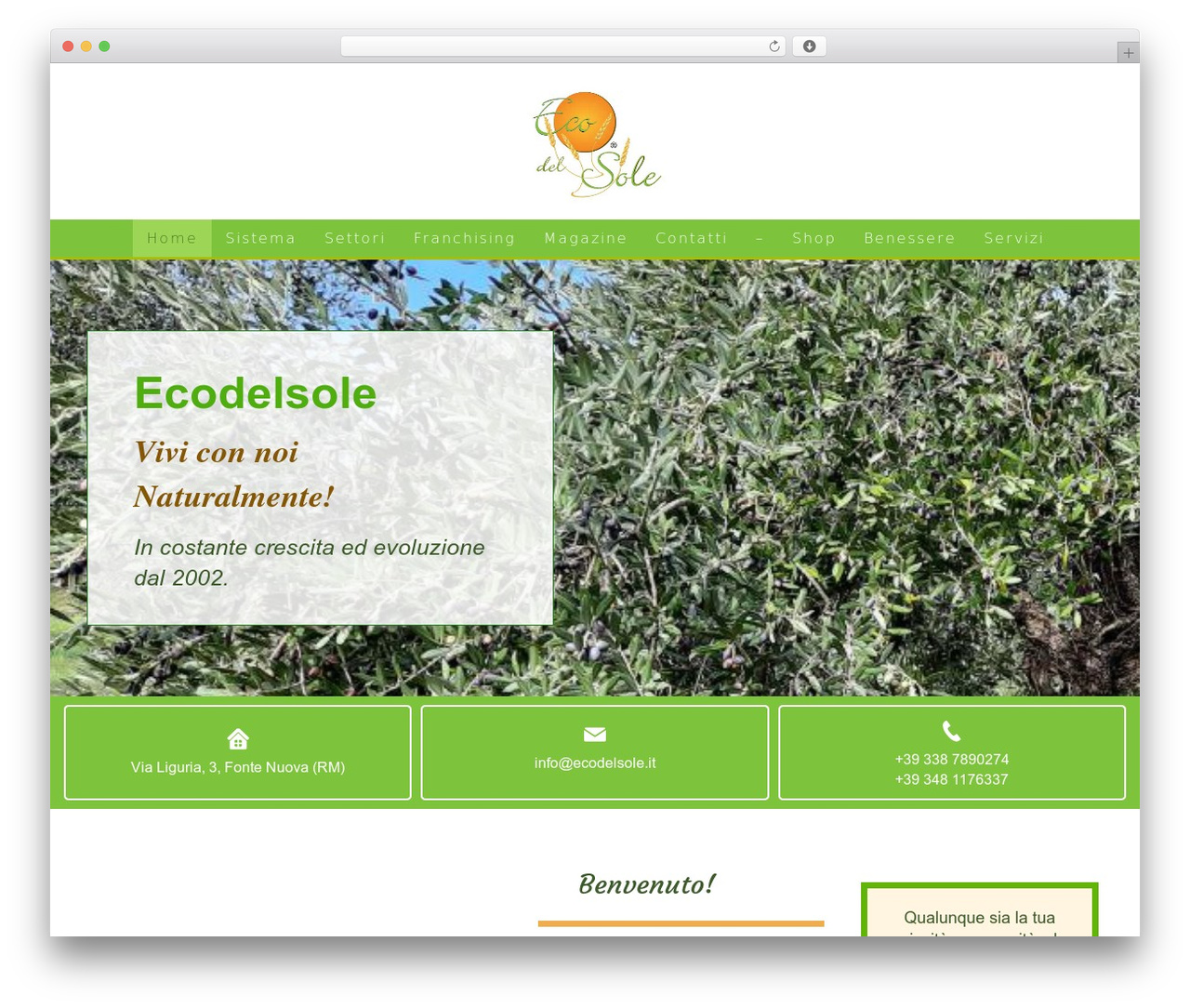 WordPress theme Econew - ecodelsole.it WordPress theme Econew - ecodelsole.it