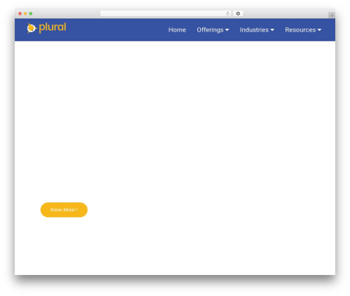 WordPress theme Gurus - pluraltechnology.com