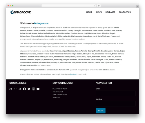 WordPress theme Navian - datagrooverecords.com