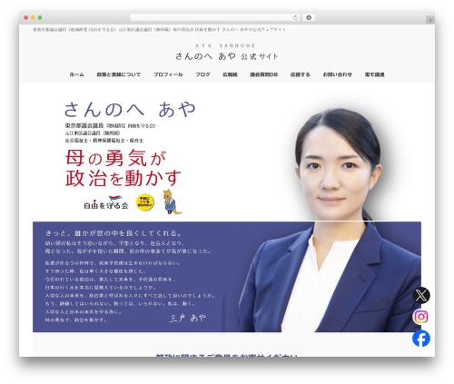 Vk video block pro WordPress plugin - sannohe-aya.com