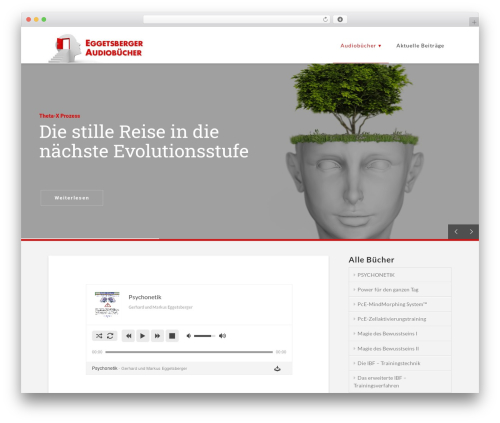 Disk player WordPress plugin - eggetsberger.nesia.org