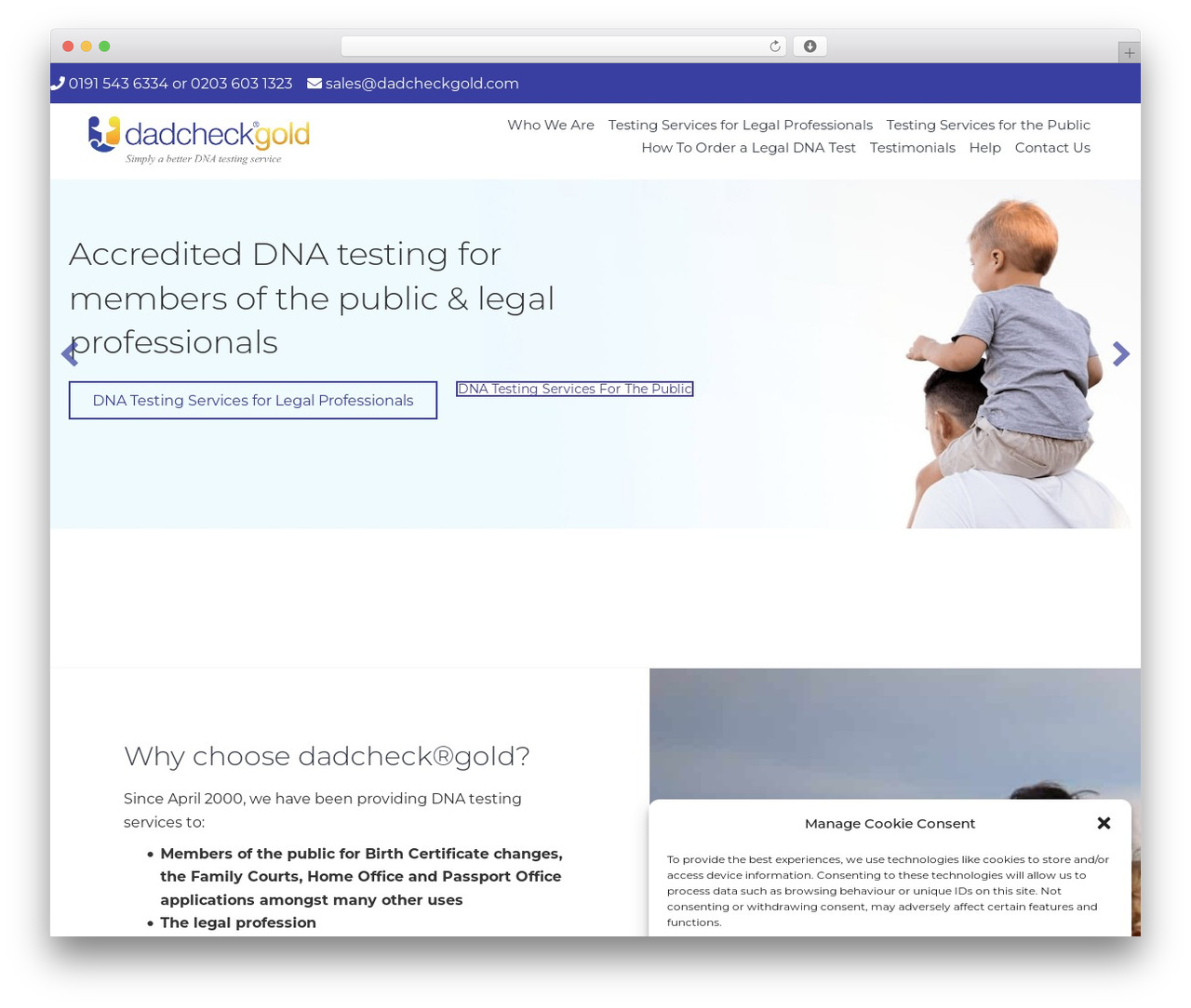 Theme WordPress Web.com Agency - dadcheckgold.com