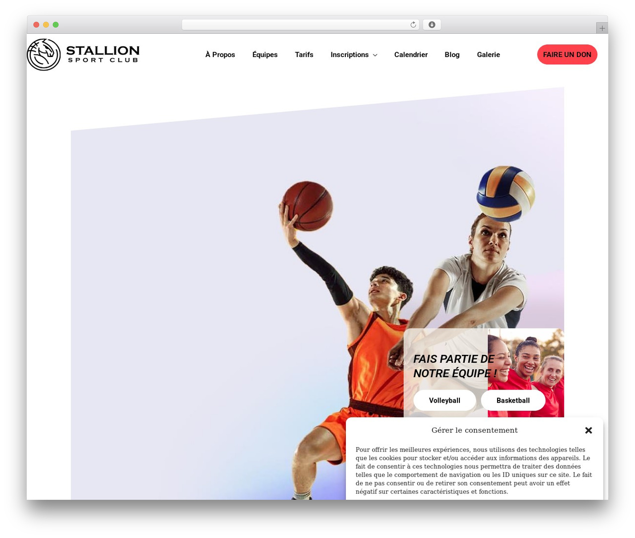 Theme WordPress Vive - stallionsportclub.ca Theme WordPress Vive - stallionsportclub.ca