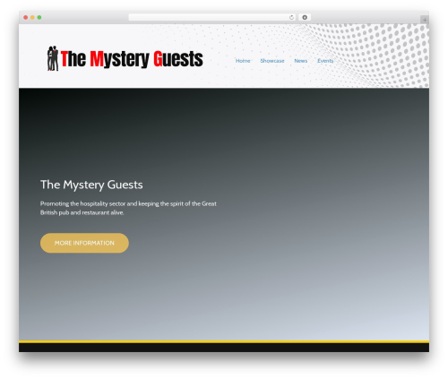 Geodir_recaptcha WordPress plugin - themysteryguests.com