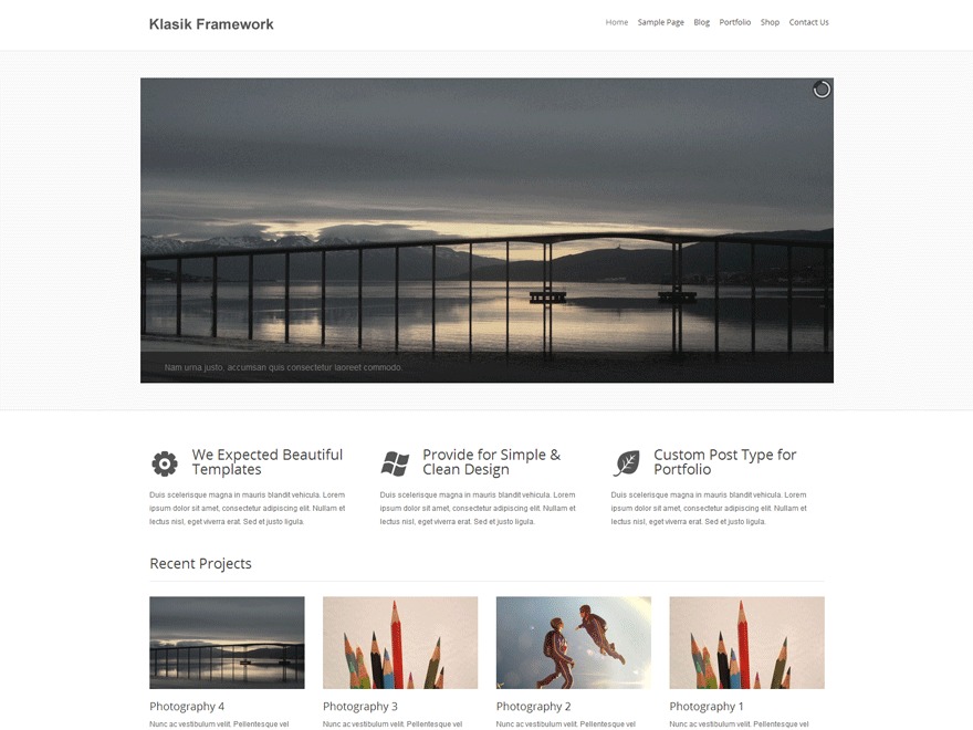 WordPress theme Probegin by PROBEGIN