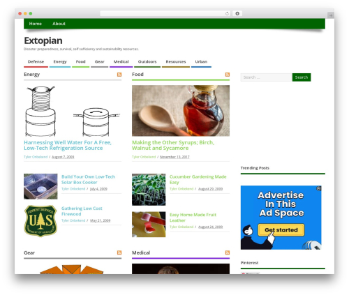 WordPress website theme MesoColumn - extopian.com