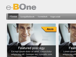 WP theme e-Bone Theme by Krisztian Panyik