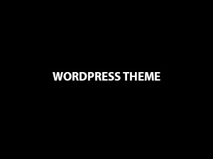Best WordPress theme WordPress Theme