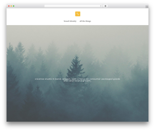 Divi WordPress theme - perezdesign.com