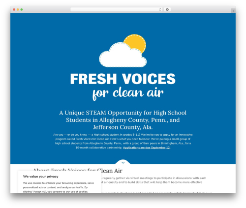 Divi WordPress theme - voicesforcleanair.com
