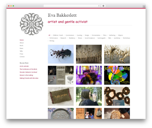 Infinity best WordPress theme - evabakkeslett.com