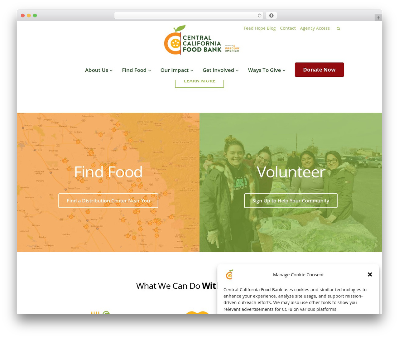 LeadEngine WordPress theme - ccfoodbank.org