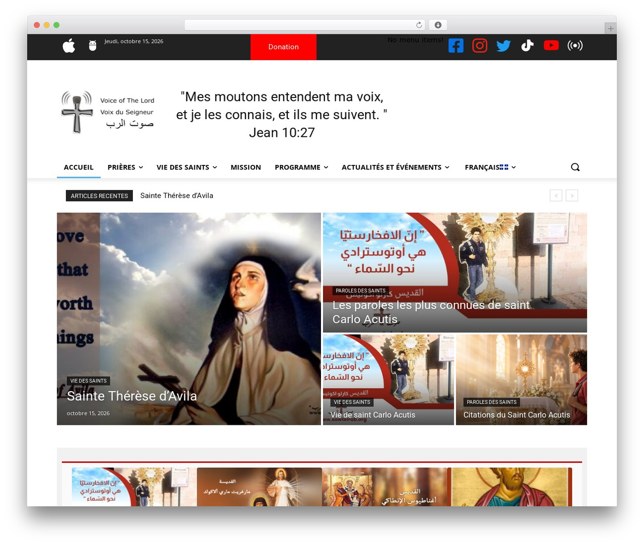 Newspaper Child theme WordPress theme - sawtelrab.org