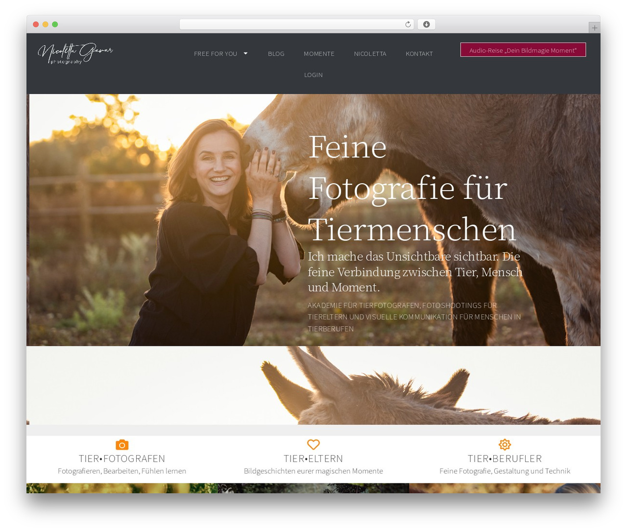 Blacksilver best WordPress theme - nicolettagavar.de