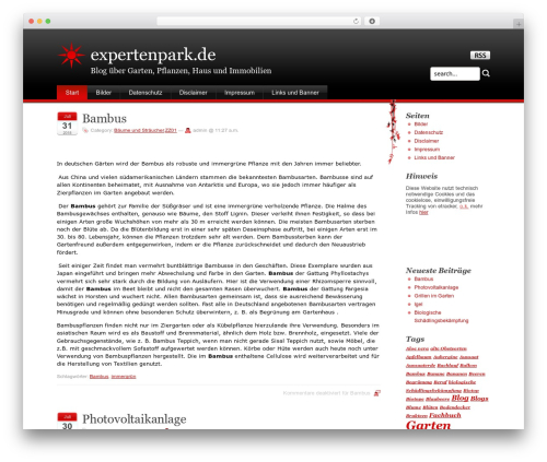 Stardust theme WordPress - expertenpark.de