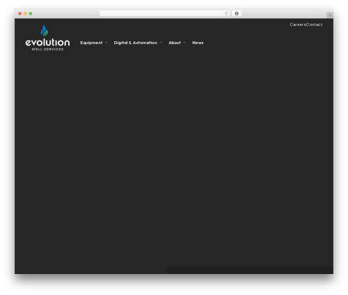 WordPress theme Divi - evolutionws.com