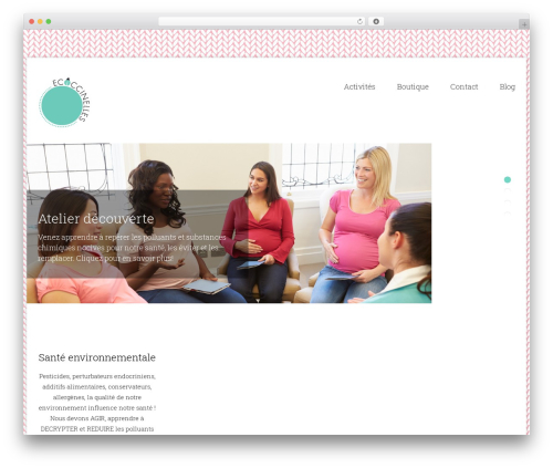 WP theme Compass Pro Responsive Theme - ecoccinelles.com