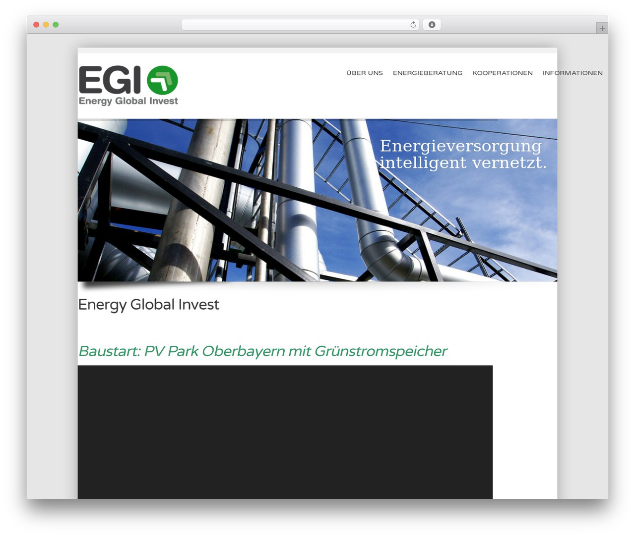 alterna WordPress theme - energy-global-invest.de