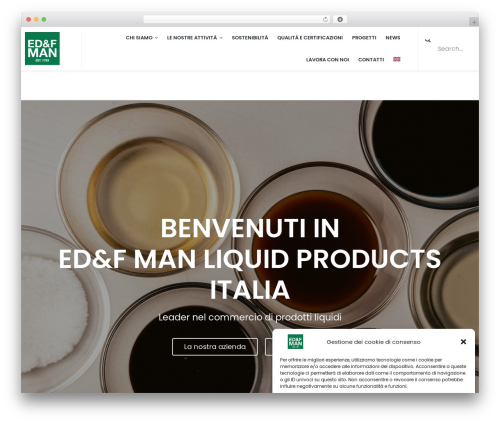 Everest timeline WordPress plugin - edfman.it