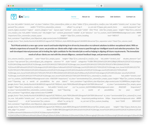 Entaro WordPress theme - techmantraminds.com