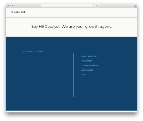 Neuron builder WordPress plugin - hicatalyst.com