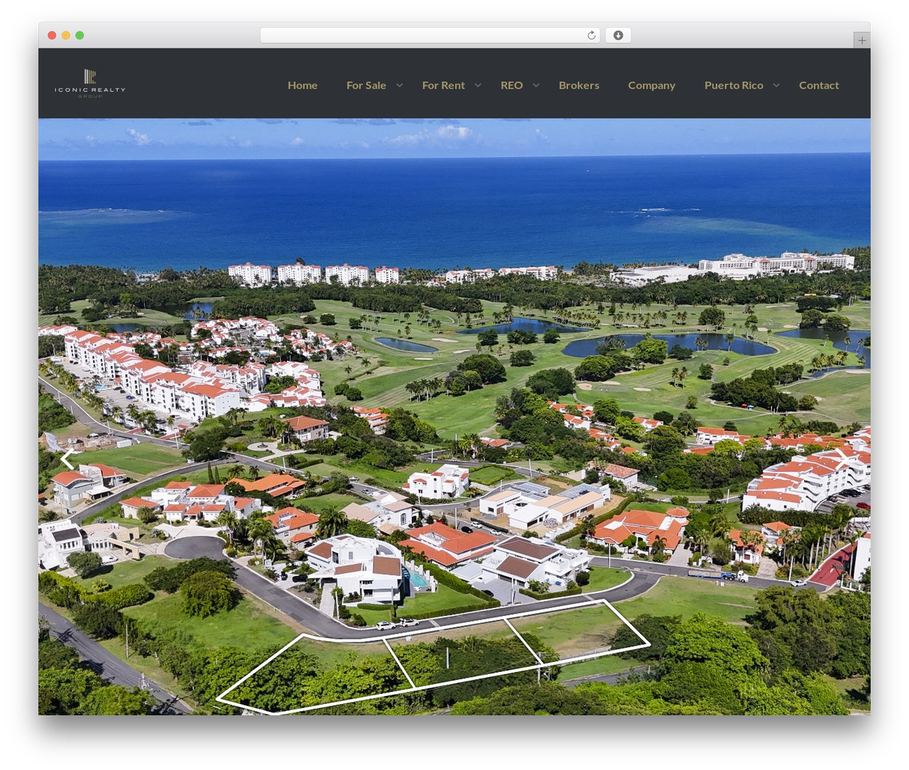 Realty Child Theme best real estate website - iconicrealtypr.com Realty Child Theme best real estate website - iconicrealtypr.com