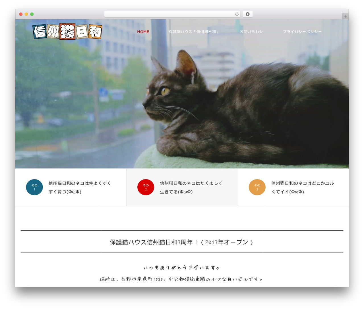 SOURCE WordPress theme - snb.or.jp