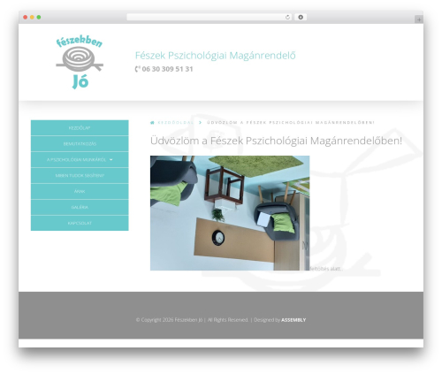 ASSEMBLY THEME (responsive) WordPress theme - feszekbenjo.hu