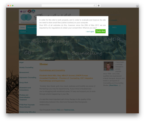 Cookie Warning (cookie-warning) free WordPress plugin - elizabethwelch.co.uk