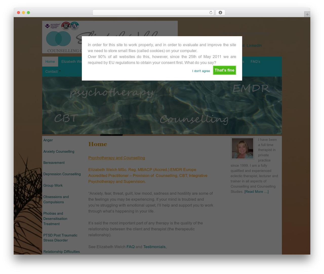 WordPress theme Child Theme - elizabethwelch.co.uk