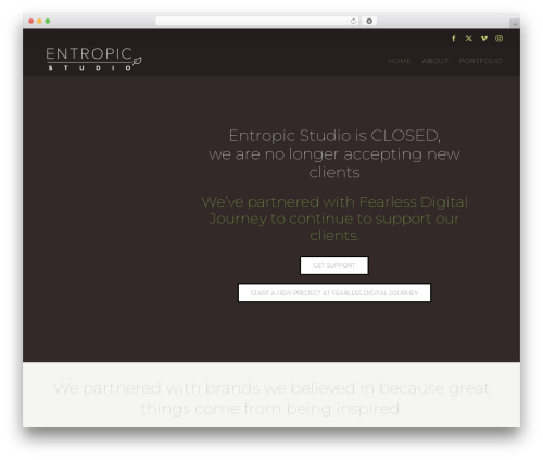 WP theme Avada - entropicstudio.com