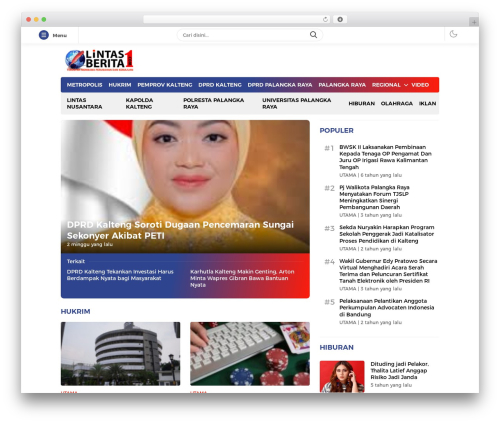 DelikWP - Versi Developer WordPress page theme - lintasberita1.com