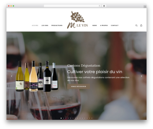 Mlevin theme WordPress - mlevin.ch