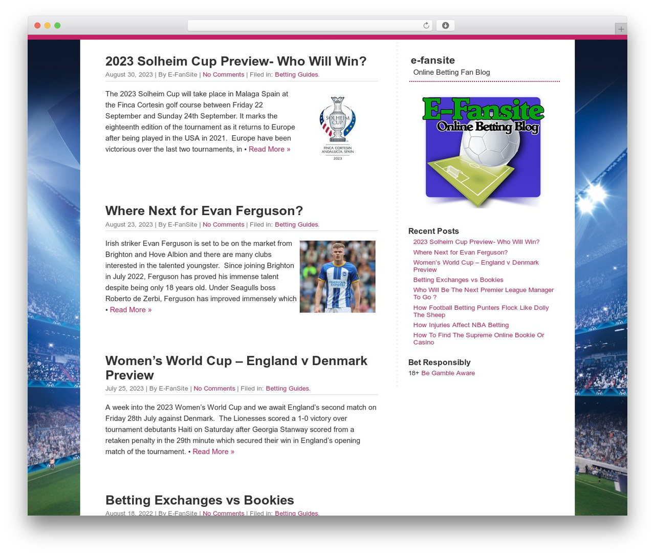 QuickChic WordPress blog theme - e-fansite.com